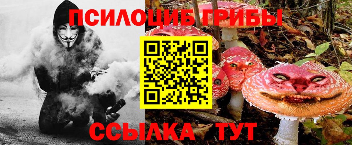 Галлюциногенные грибы Cubensis Кудрово